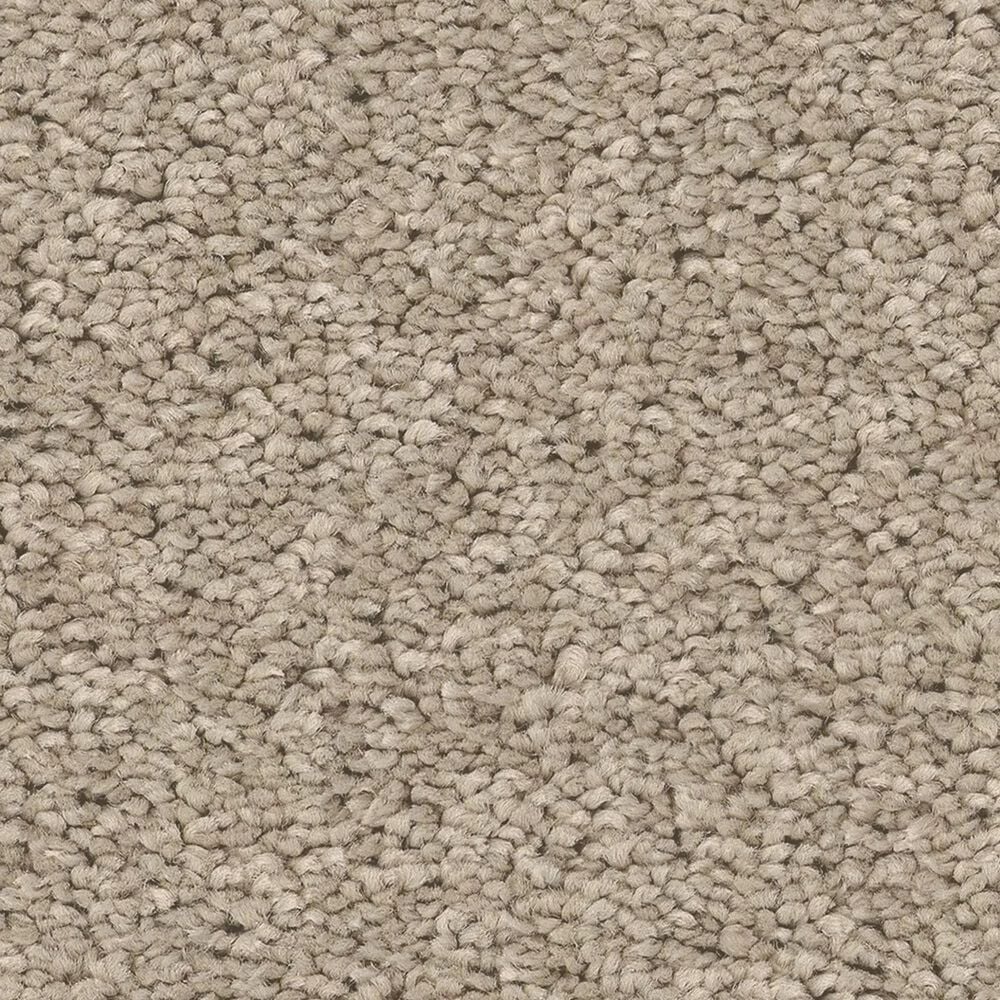 Philadelphia Champagne Taste I Carpet in Chic Greige, , large