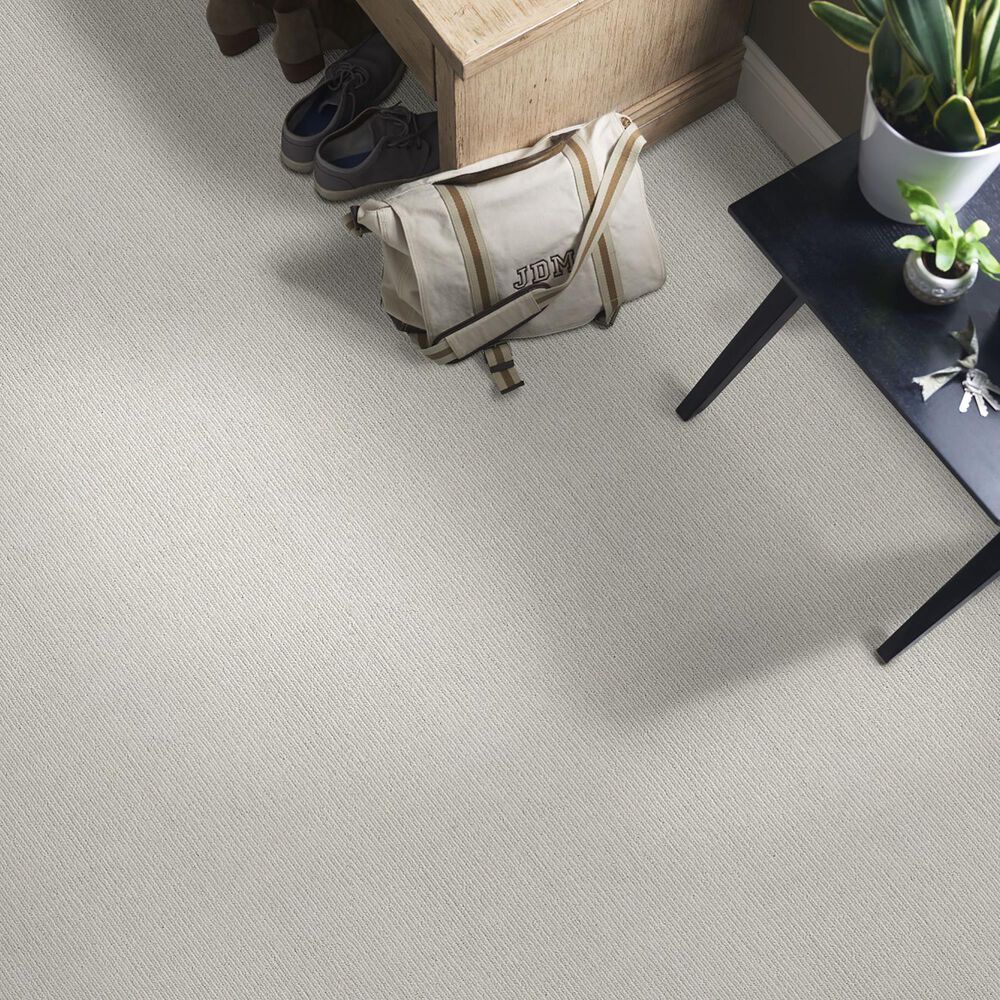 Anderson Tuftex Dynasty Carpet in Whisper, , large