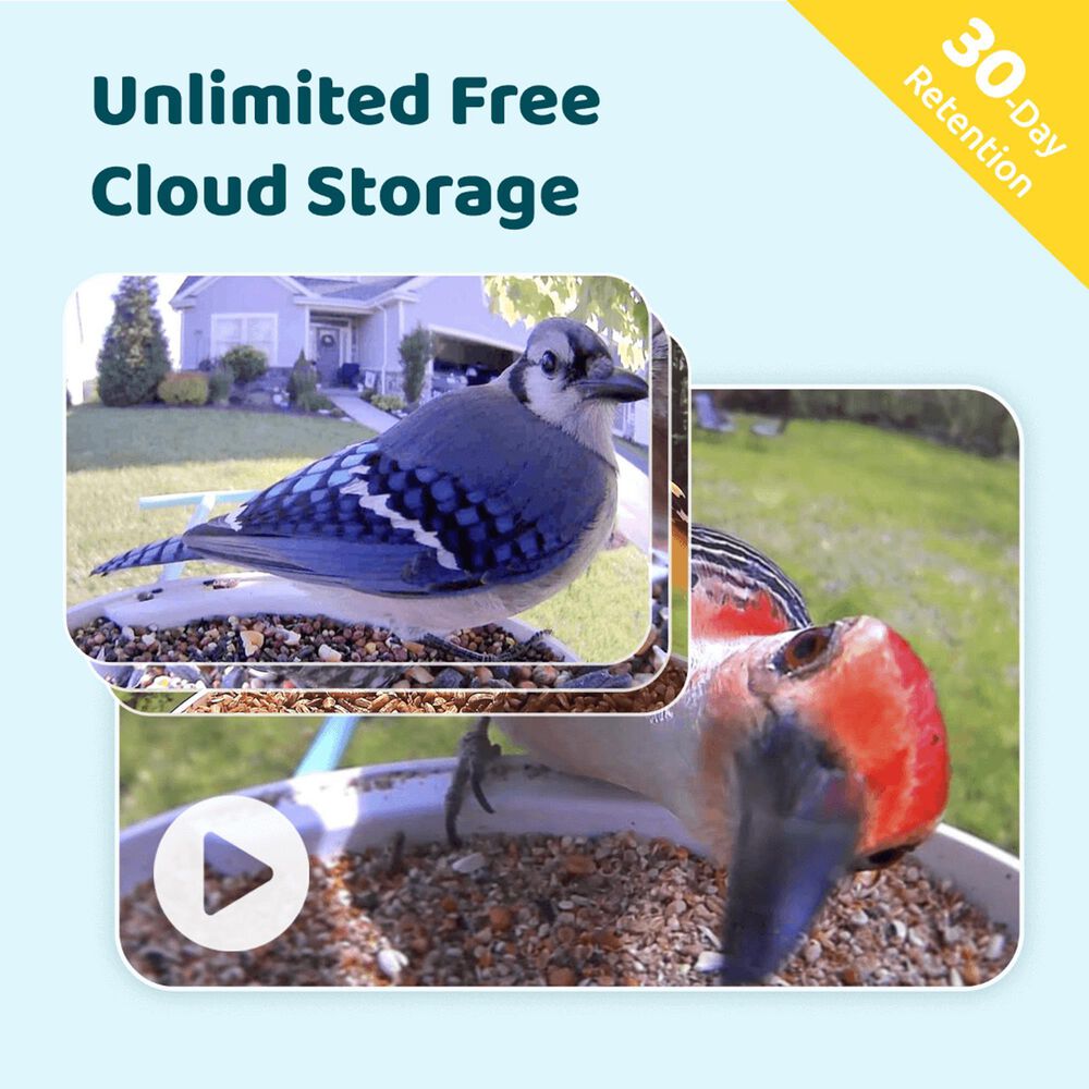 Birdfy Bird Feeder with Smart Camera and Solar Panel in Blue and White, , large