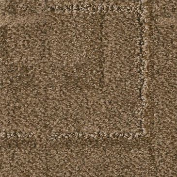 Anderson Tuftex Path Carpet in Trail, , large
