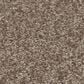 Shaw You Got This III Carpet in Cameo, , large