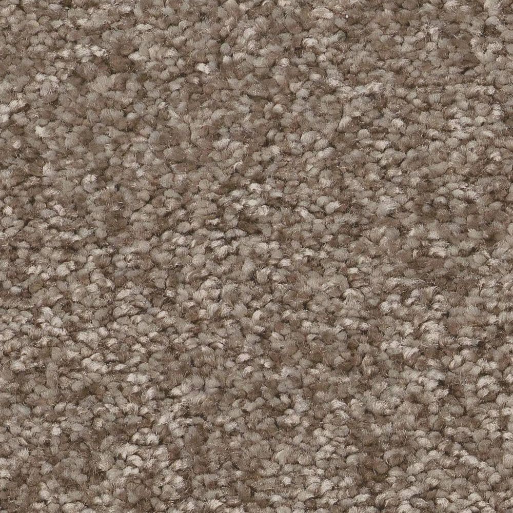 Shaw You Got This III Carpet in Cameo, , large