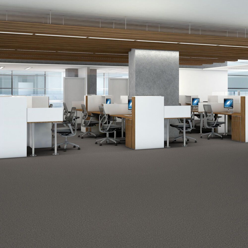 Shaw You Got This III Carpet in Ashes, , large