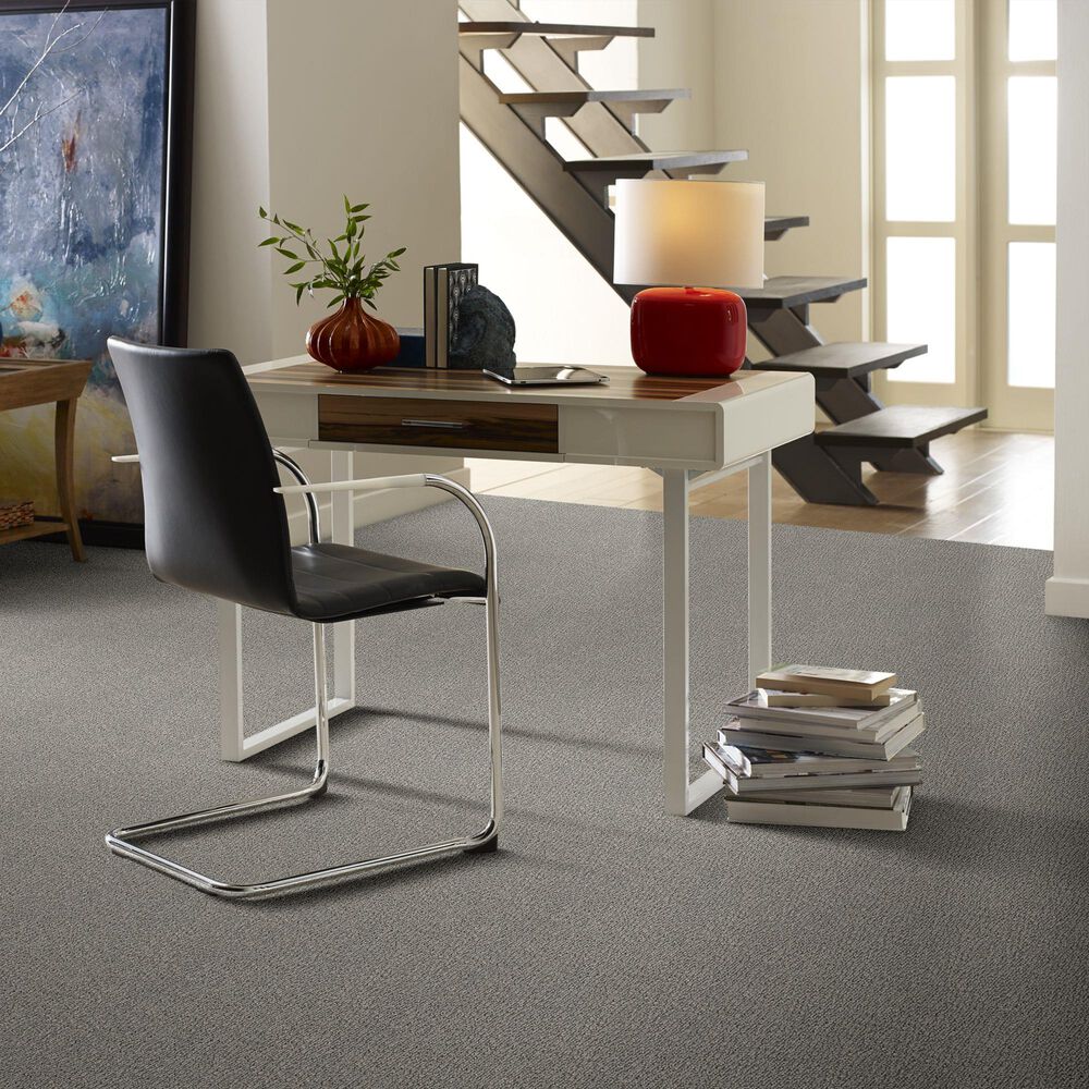Anderson Tuftex Fur-Ever Carpet in Rockport, , large