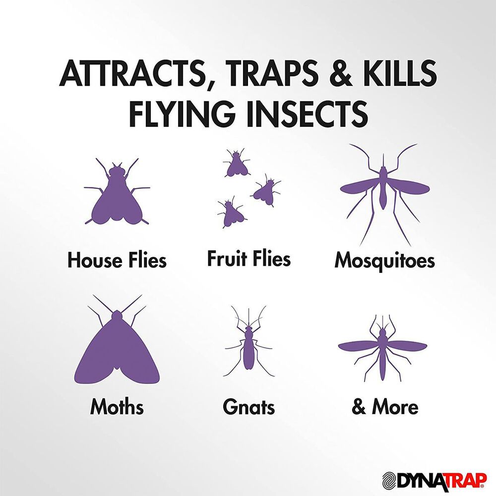 Dynatrap Indoor Insect Trap