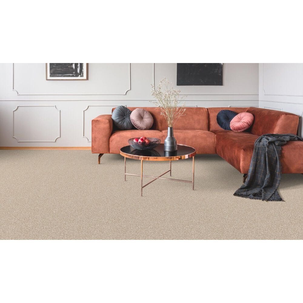 Dixie Home Bella Carpet in Bulldog, , large