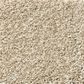 Shaw Tonal Comfort II Carpet in Dinner With Friends, , large