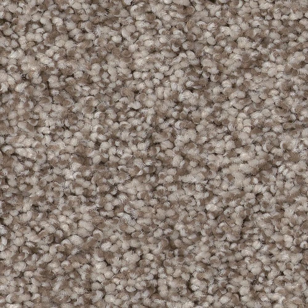 Anderson Tuftex Bossa Nova Carpet in Pashmina, , large