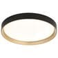 Vaxcel Darien 1-Light Flush Mount in Black and Gold, , large
