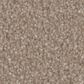 Phenix Oasis Silver Carpet in Camel, , large