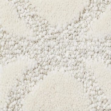 Anderson Tuftex Appreciation Carpet in Soft Fleece, , large