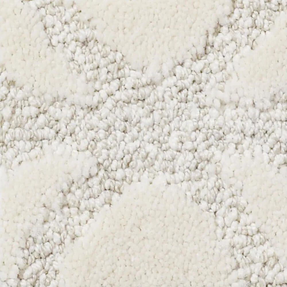 Anderson Tuftex Appreciation Carpet in Soft Fleece, , large