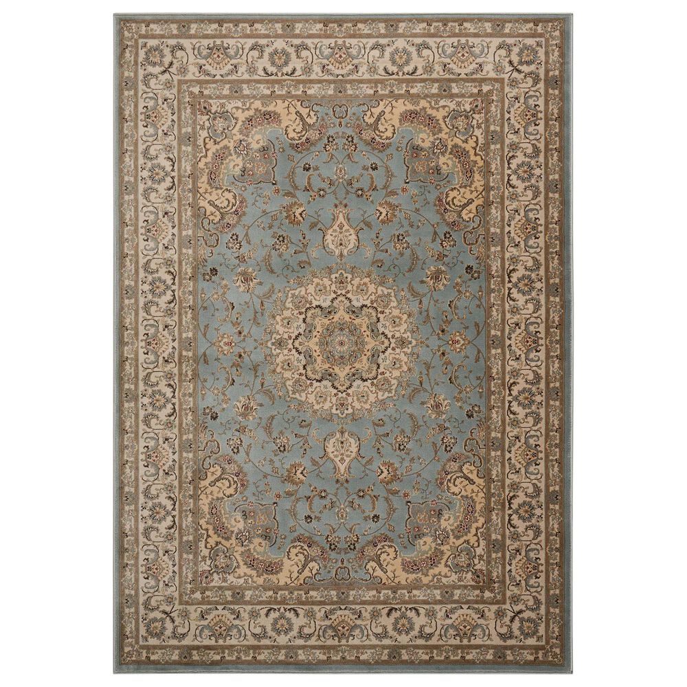 Nourison Ararat ARA02 9'3" x 12'9" Light Blue Area Rug, , large