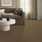 Anderson Tuftex Path Carpet in Trail, , large