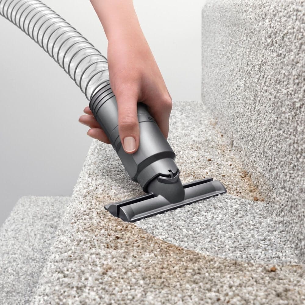 Dyson Ball Animal 3 Extra Corded Vacuum in Nickel and Silver, , large