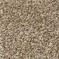 Shaw Comforting II Carpet in Riverbank, , large