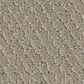 Shaw Simply Classic Carpet in Sculpture, , large