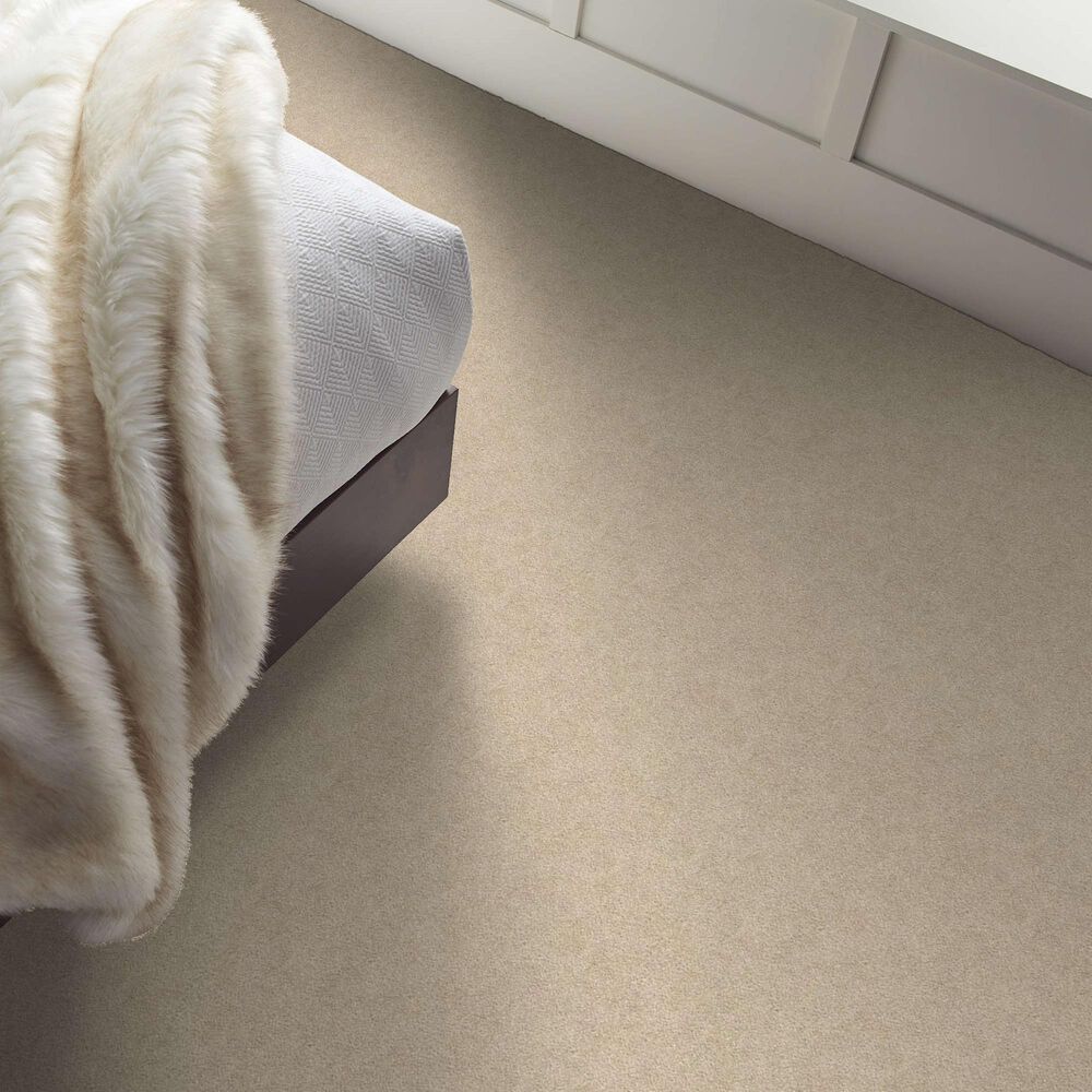 Shaw Your Comfort I Carpet in Dinner with Friends, , large
