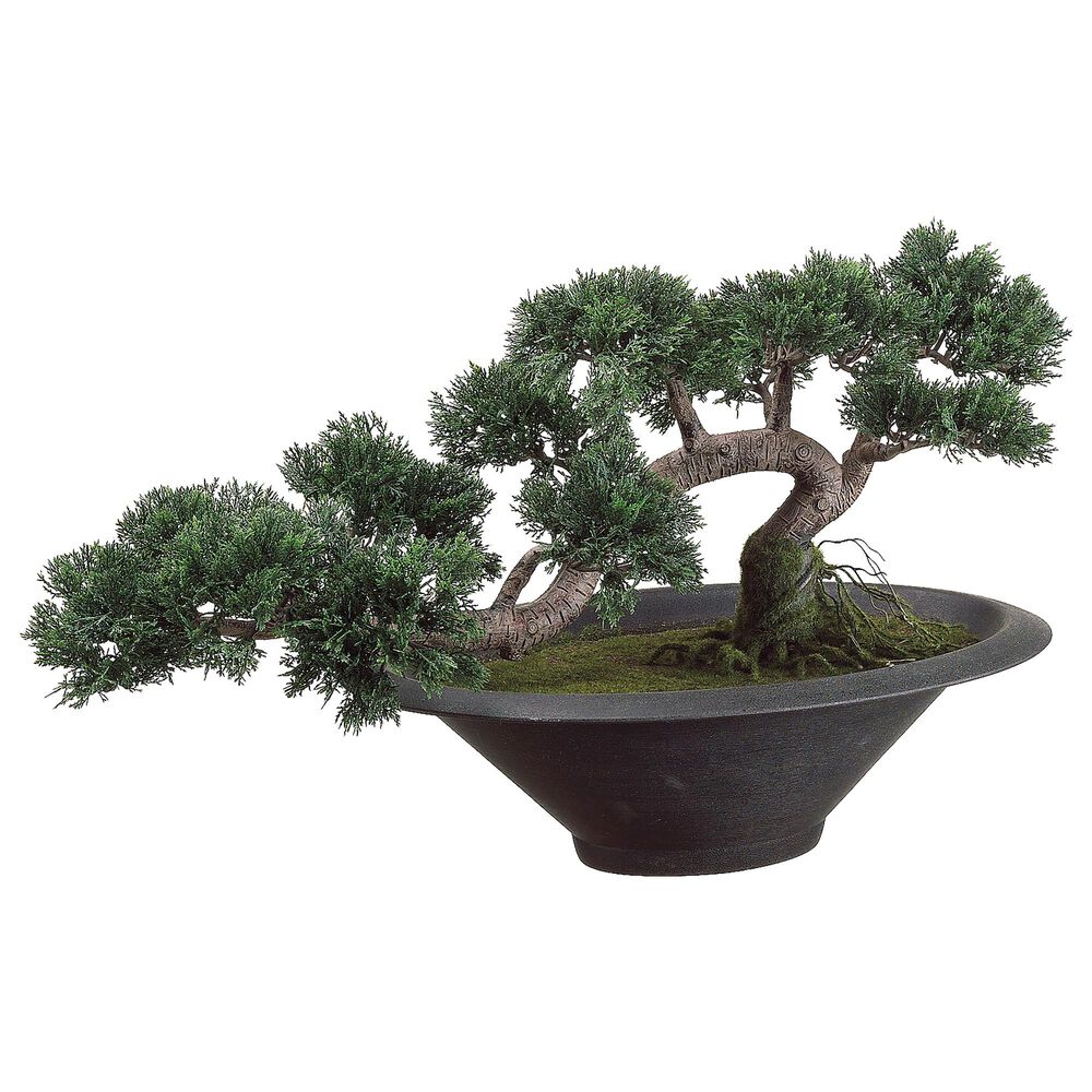 Allstate Floral and Craft Inc 14" Trailing Cedar Silk Bonsai Tree in Green, , large