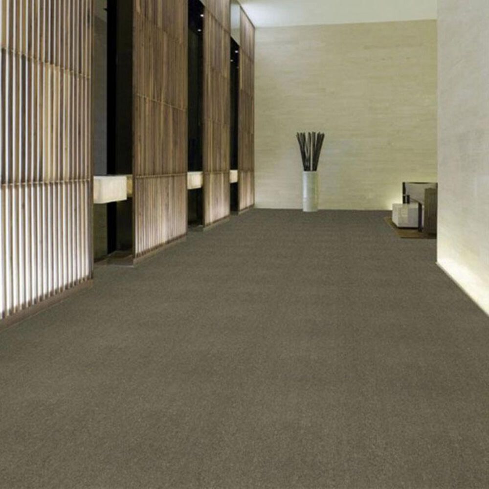 Shaw Counterpart 24&quot; x 24&quot; Carpet Tile in Spitting Image, , large