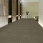 Shaw Counterpart 24" x 24" Carpet Tile in Spitting Image, , large