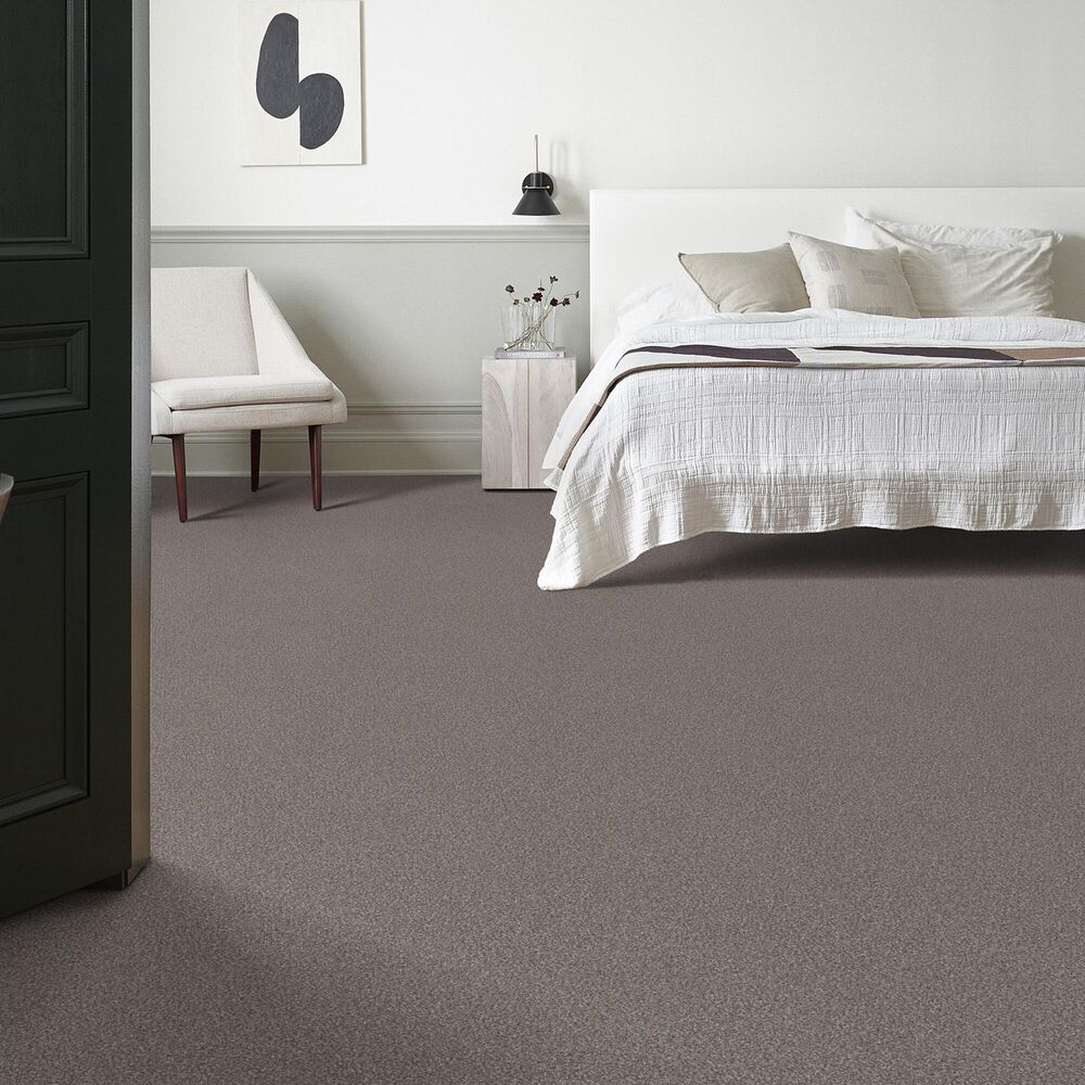 Shaw Truspirit Ii Carpet in Stainless, , large