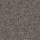 Anderson Tuftex Elegant Beauty Carpet in Lunar Rock, , large