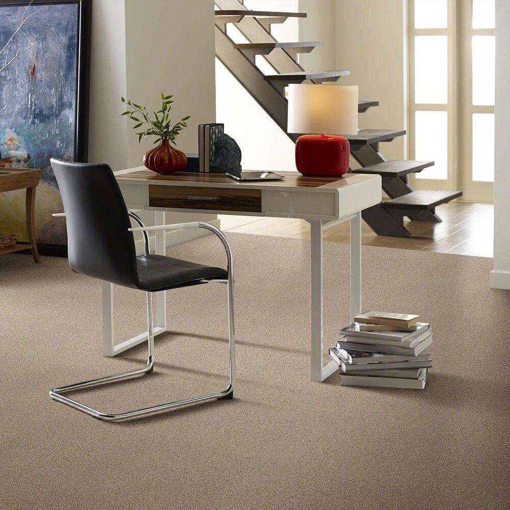 Anderson Tuftex Acadia Park Carpet in Mushroom, , large