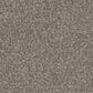 Phenix Canvas I Carpet in Tarp, , large