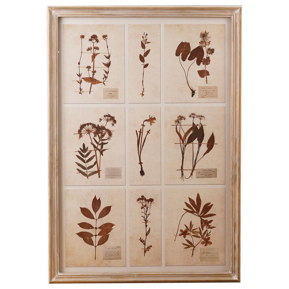 Creative Coop Herbalist 39.25" x 27.5" Botanicals Print Wall Art in Multicolor, , large