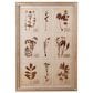 Creative Coop Herbalist 39.25" x 27.5" Botanicals Print Wall Art in Multicolor, , large
