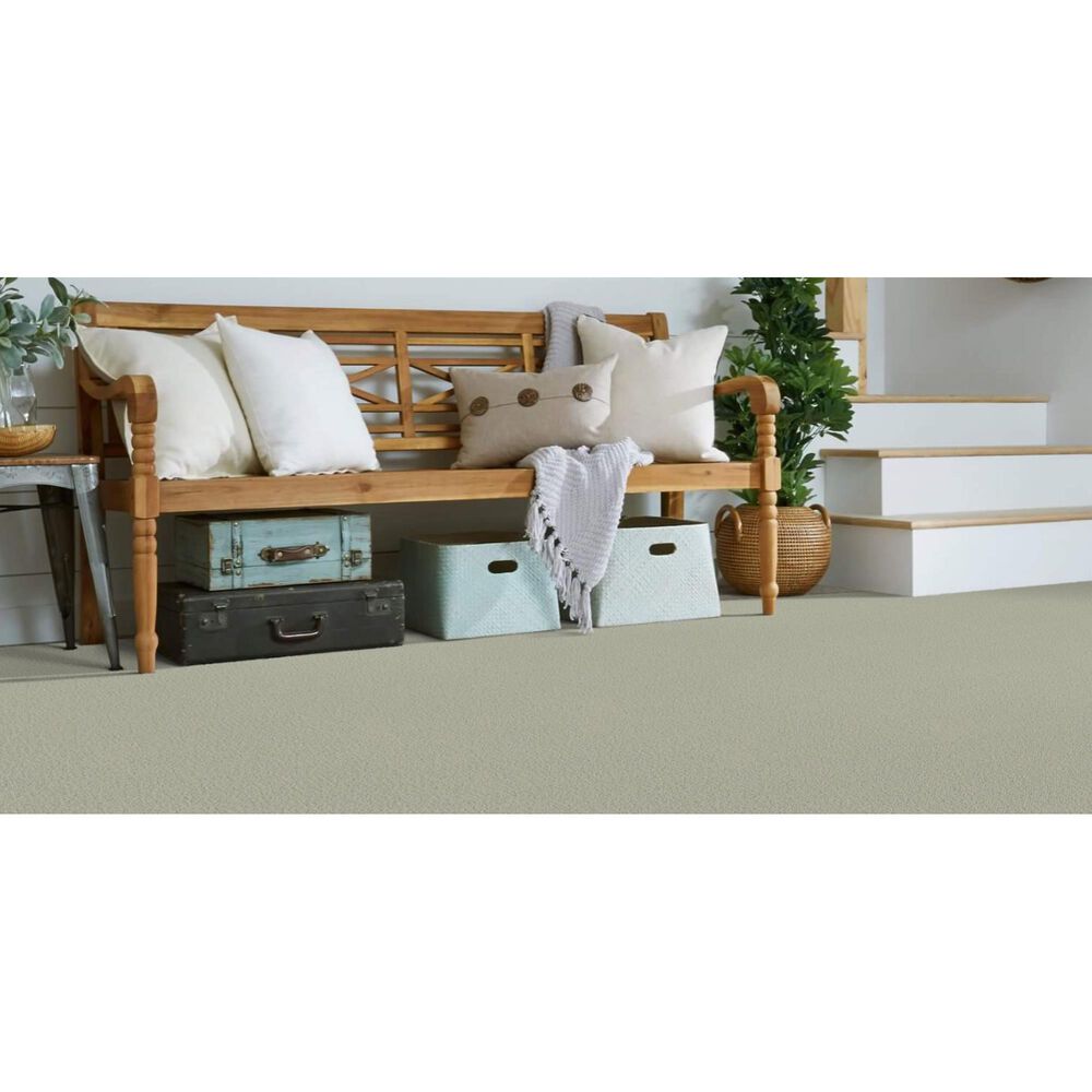 Masland Panache Carpet in Alba, , large