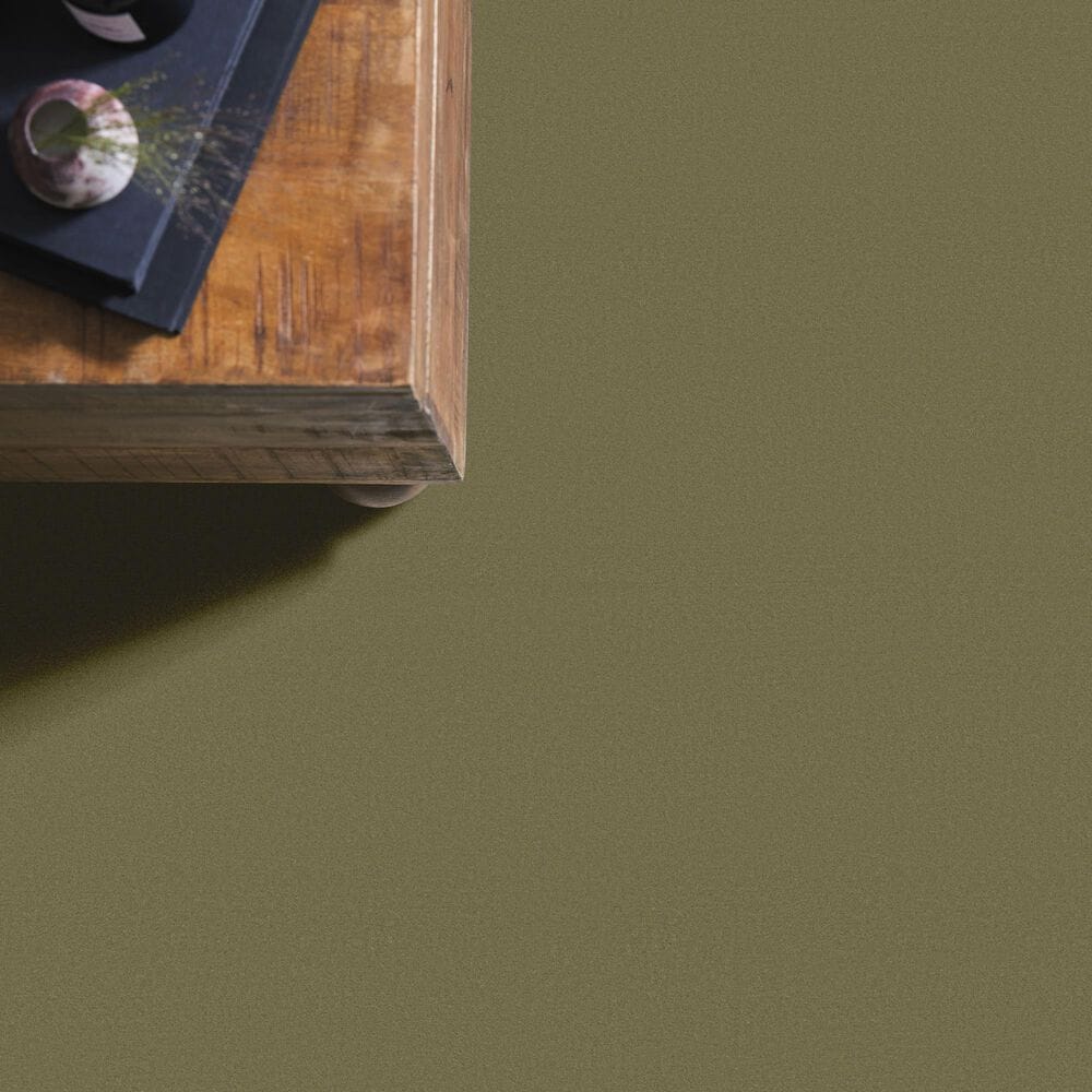 Anderson Tuftex Finery Carpet in Tate Olive, , large