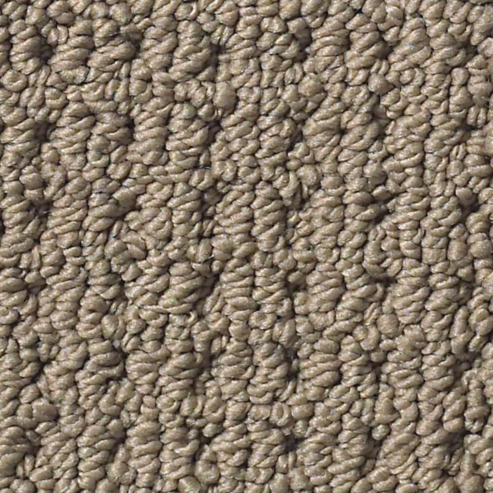Anderson Tuftex Cabo Cove Carpet in Homestead, , large