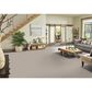 Phenix Naples Carpet in Coastline, , large