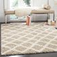 Safavieh Dallas Shag SGD258D-4 4" x 6" Beige/Ivory Area Rug, , large
