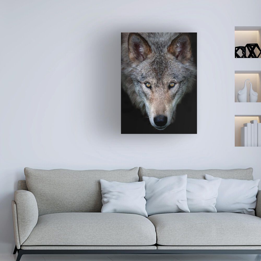 Timberlake Jim Cumming 'All The Better To See You - Timber Wolf' 47" x 35" Canvas Art in Black/Grey/Brown, , large