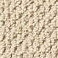 Anderson Tuftex Mera Carpet in Beach Haven, , large