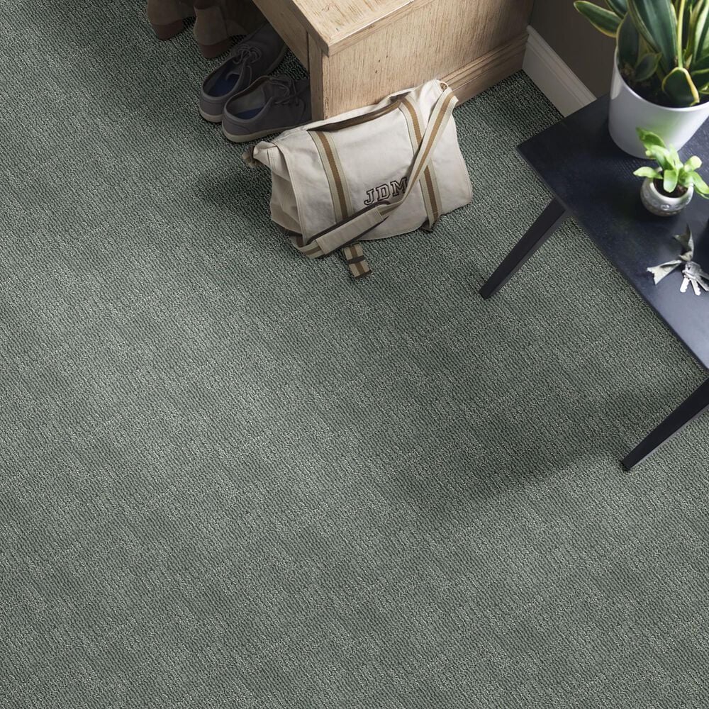 Anderson Tuftex Loredo Carpet in Scenic Drive, , large