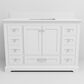 Lexora Home Dukes 48" Single Bathroom Vanity in White with 2 cm White Quartz Top and Rectangular Sink, , large
