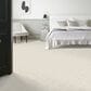 Anderson Tuftex Appreciation Carpet in Soft Fleece, , large