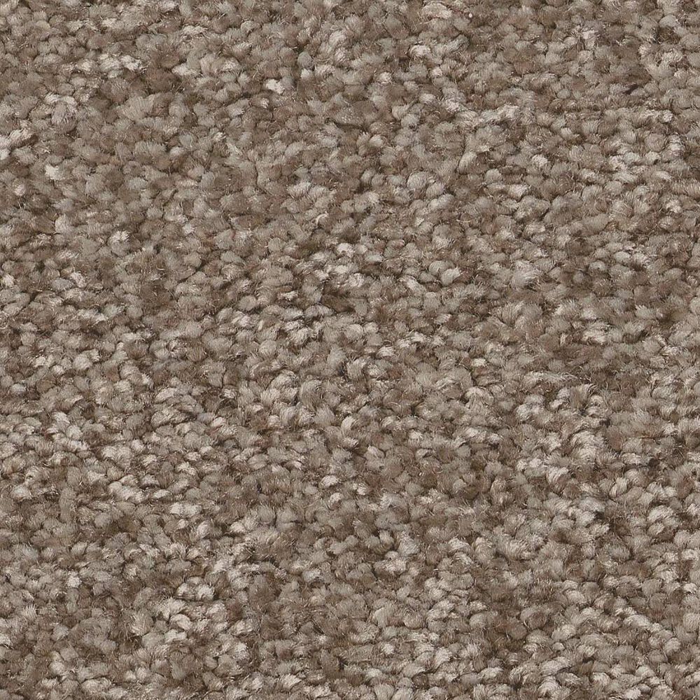 Shaw You Got This I Carpet in Cameo, , large