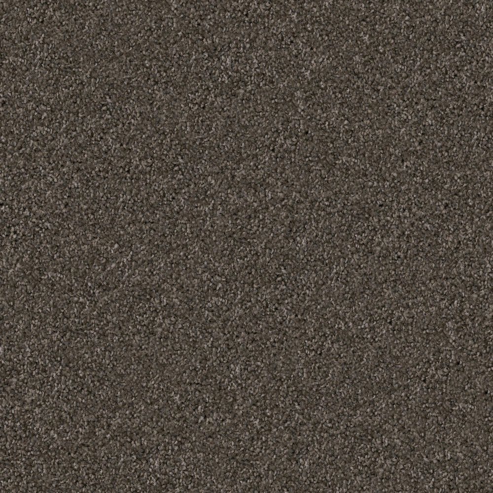 Dixie Home Trapper Carpet in Schnauzer, , large