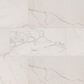 MS International Regallo Calacatta Isla 24" x 48" Polished Porcelain Tile, , large