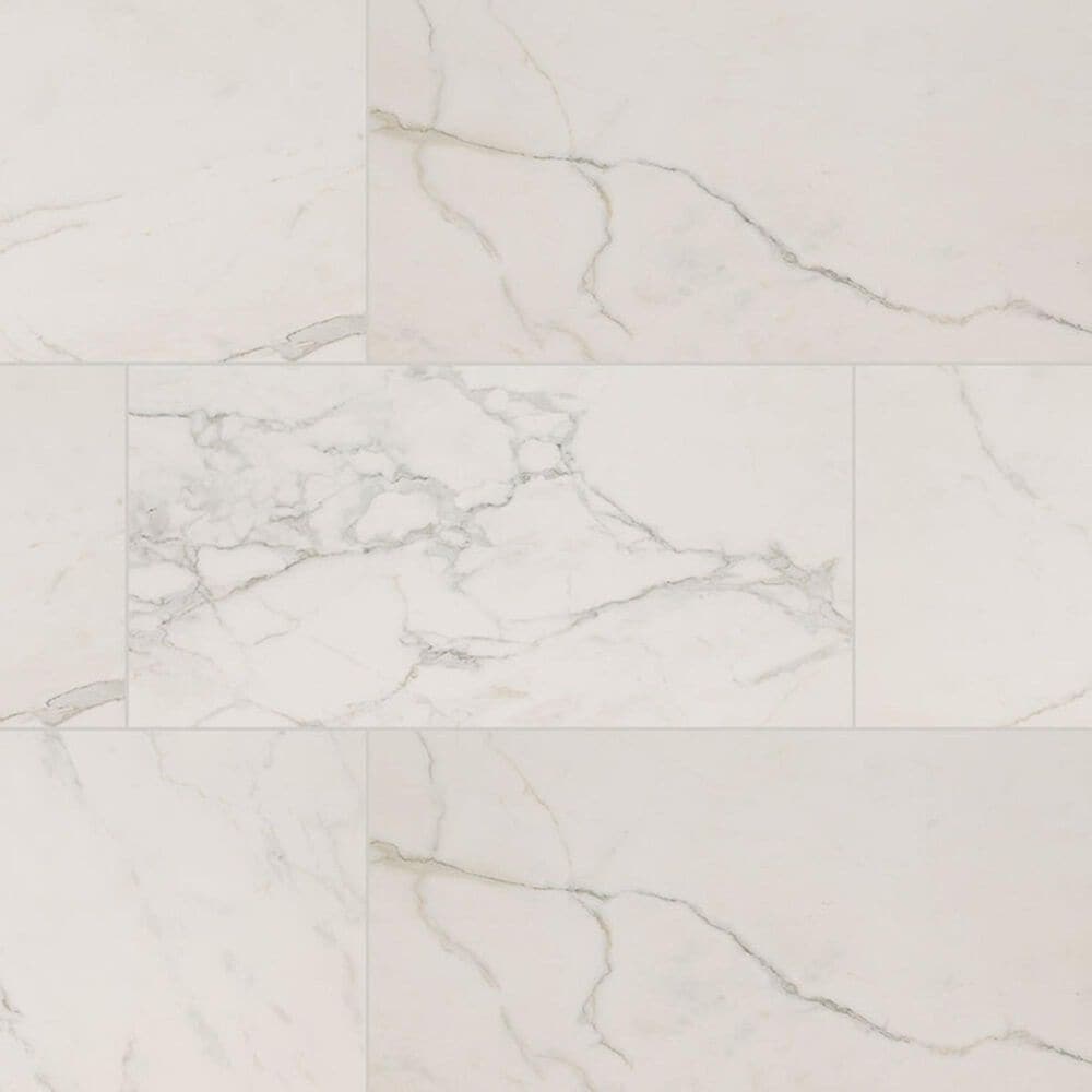 MS International Regallo Calacatta Isla 24" x 48" Polished Porcelain Tile, , large