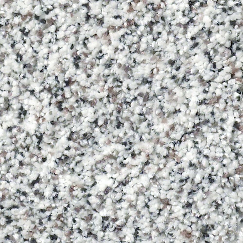 Shaw Find Your Comfort TA II Carpet in True Reality, , large