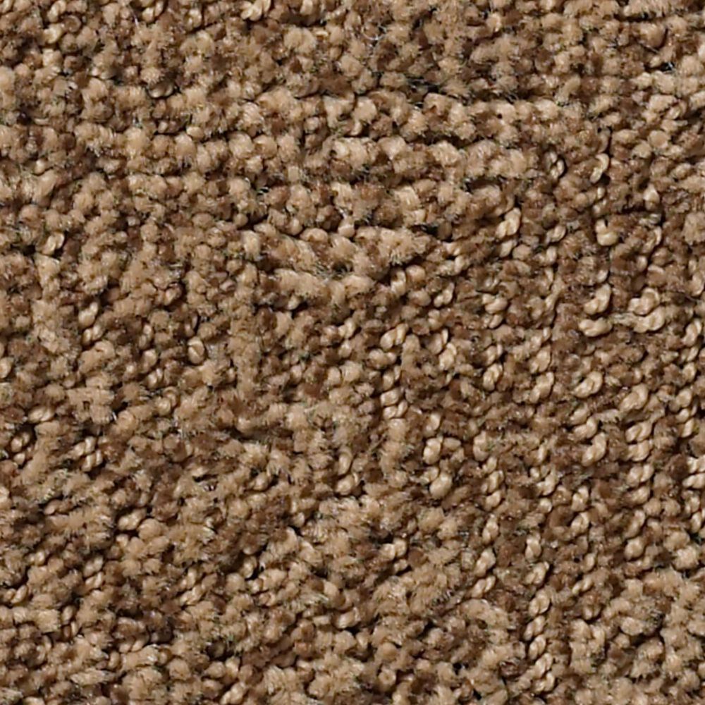 Anderson Tuftex Ario Carpet in Desert Beach, , large