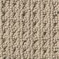 Anderson Tuftex Cabo Cove Carpet in Latte, , large