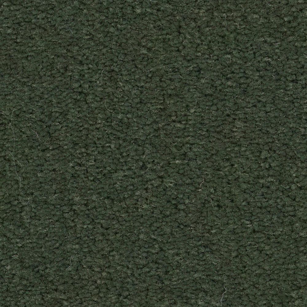Anderson Tuftex Finery Carpet in Palm Leaf, , large