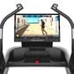 FreeMotion I24 Incline Trainer in Black, , large